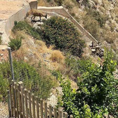 Axarquia , Frigiliana, Terraza Privada Con Vistas A La Montana Rio Y Al Mar 아파트 프리질리아나